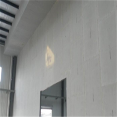 岭东宁波ALC板|EPS加气板隔墙与混凝土整浇联接的实验研讨